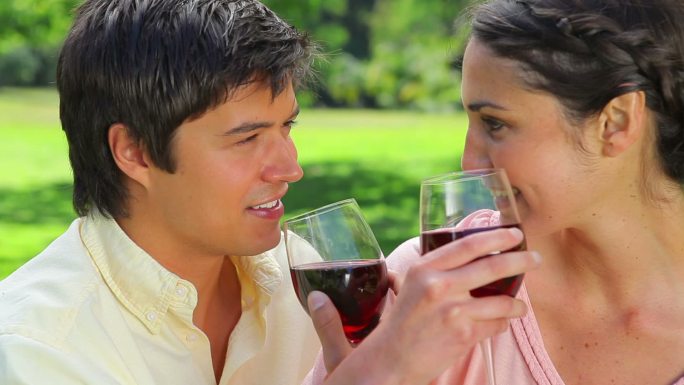 幸福的夫妇在乡下喝红酒