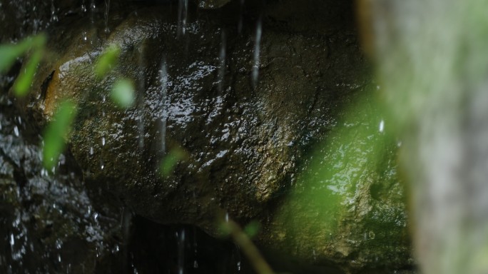 4K溪流冲刷石上苔藓