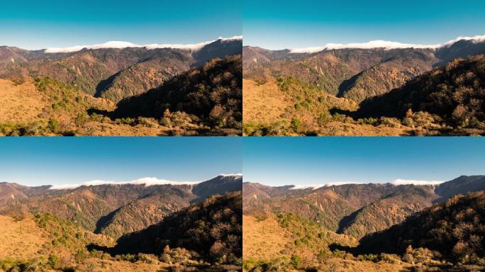 四川卧龙自然保护区高山牧场海子雪山航拍