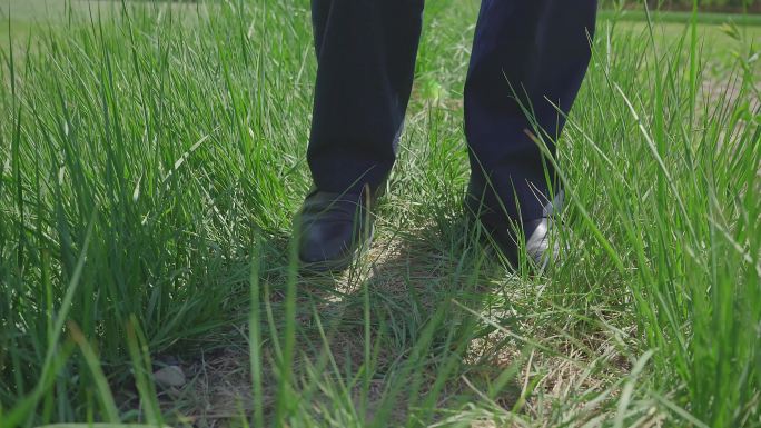 政府工作人员走在田间地头脚步特写慢镜头