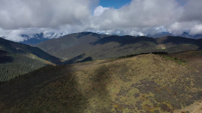 原创 四川凉山州玛娜茶金牧场草原自然风光