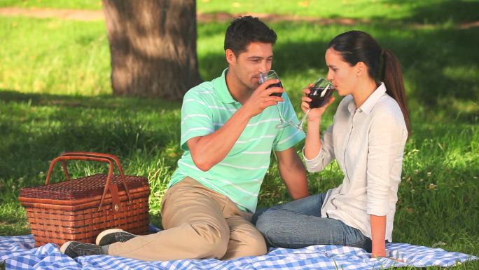 一对可爱的情侣坐在公园的树下喝红酒