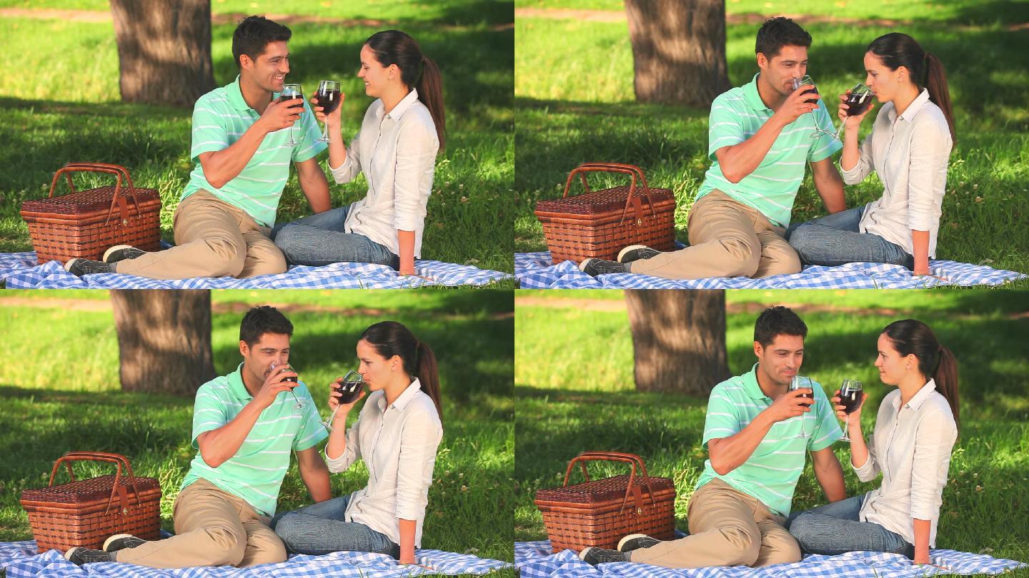 一对可爱的情侣坐在公园的树下喝红酒