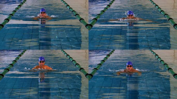 健康的游泳运动员在游泳池做蛙泳的慢动作