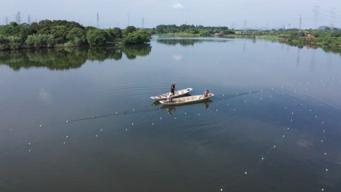 鱼塘养鱼