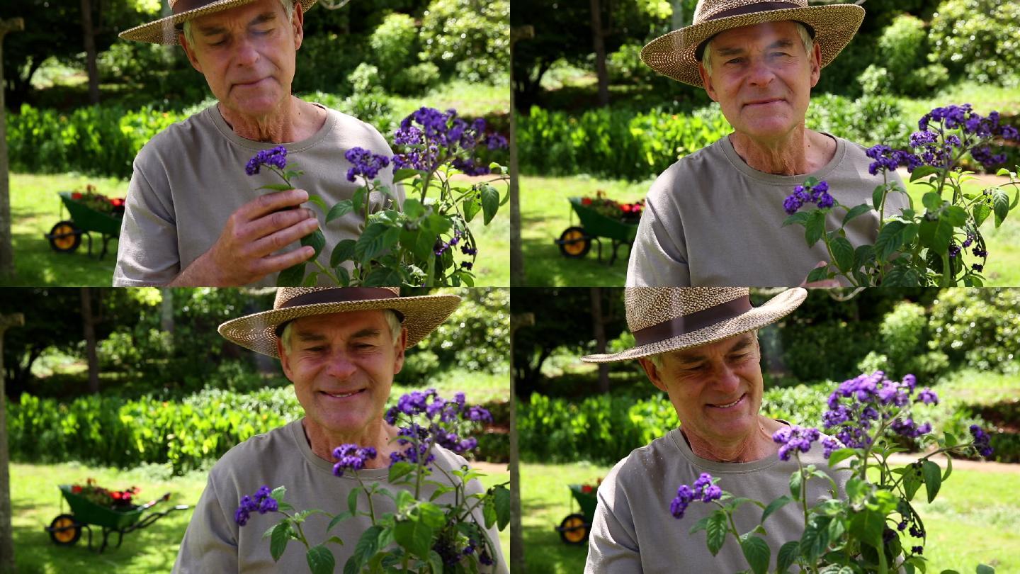 退休男子园艺和微笑的相机在家里的花园