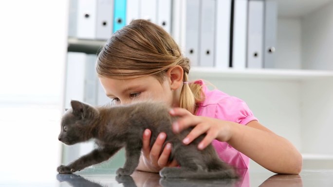 小女孩在兽医面前抚摸着一只灰色的小猫