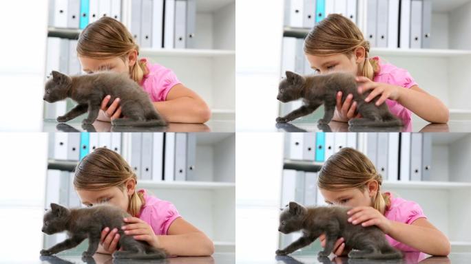 小女孩在兽医面前抚摸着一只灰色的小猫