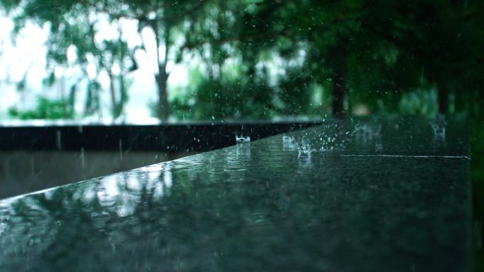 雨中松树-水滴四溅-3