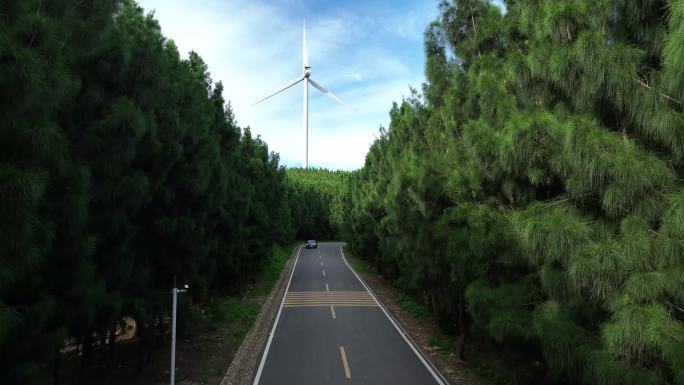 行驶在森林公路的汽车