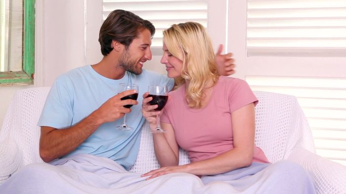 一对夫妇坐在沙发上，盖着毯子，在客厅里喝着红酒