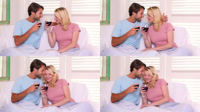 一对夫妇坐在沙发上，盖着毯子，在客厅里喝着红酒