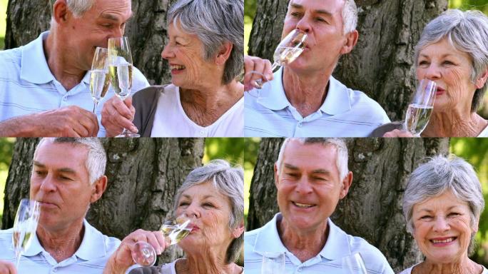 一对老年夫妇在一个阳光明媚的日子里一起在公园里享用香槟