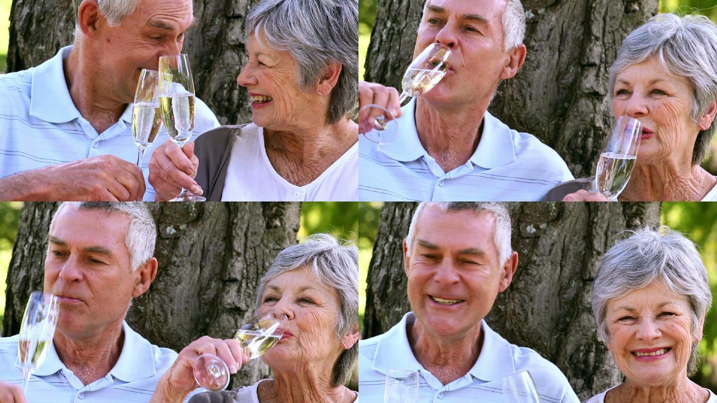 一对老年夫妇在一个阳光明媚的日子里一起在公园里享用香槟