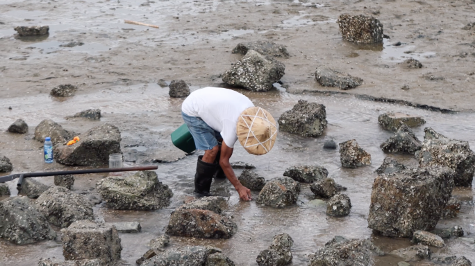 4k 礁石边抓鱼抓螃蟹 讨海野采海边乐趣