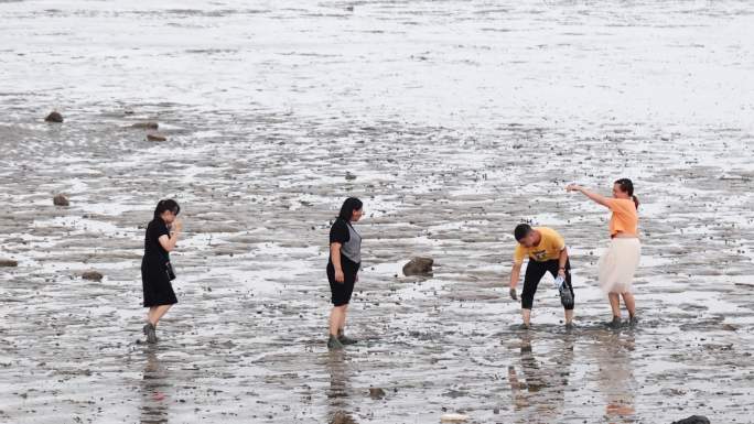 4k 礁石边抓鱼抓螃蟹 讨海野采海边乐趣