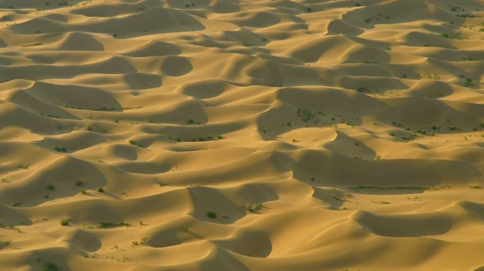直升机航拍内蒙古鄂尔多斯市库布齐沙漠44