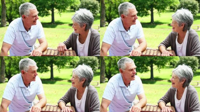 在一个阳光明媚的日子里，一对快乐的老年夫妇带着野餐篮在公园里放松