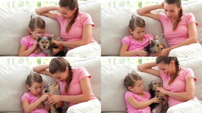 可爱的小女孩和妈妈在客厅里玩约克夏小狗