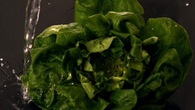 在黑色背景的慢镜头中，水倒在生菜上