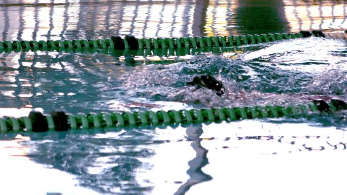 健康的女子游泳运动员在游泳池中慢动作做蝶泳动作