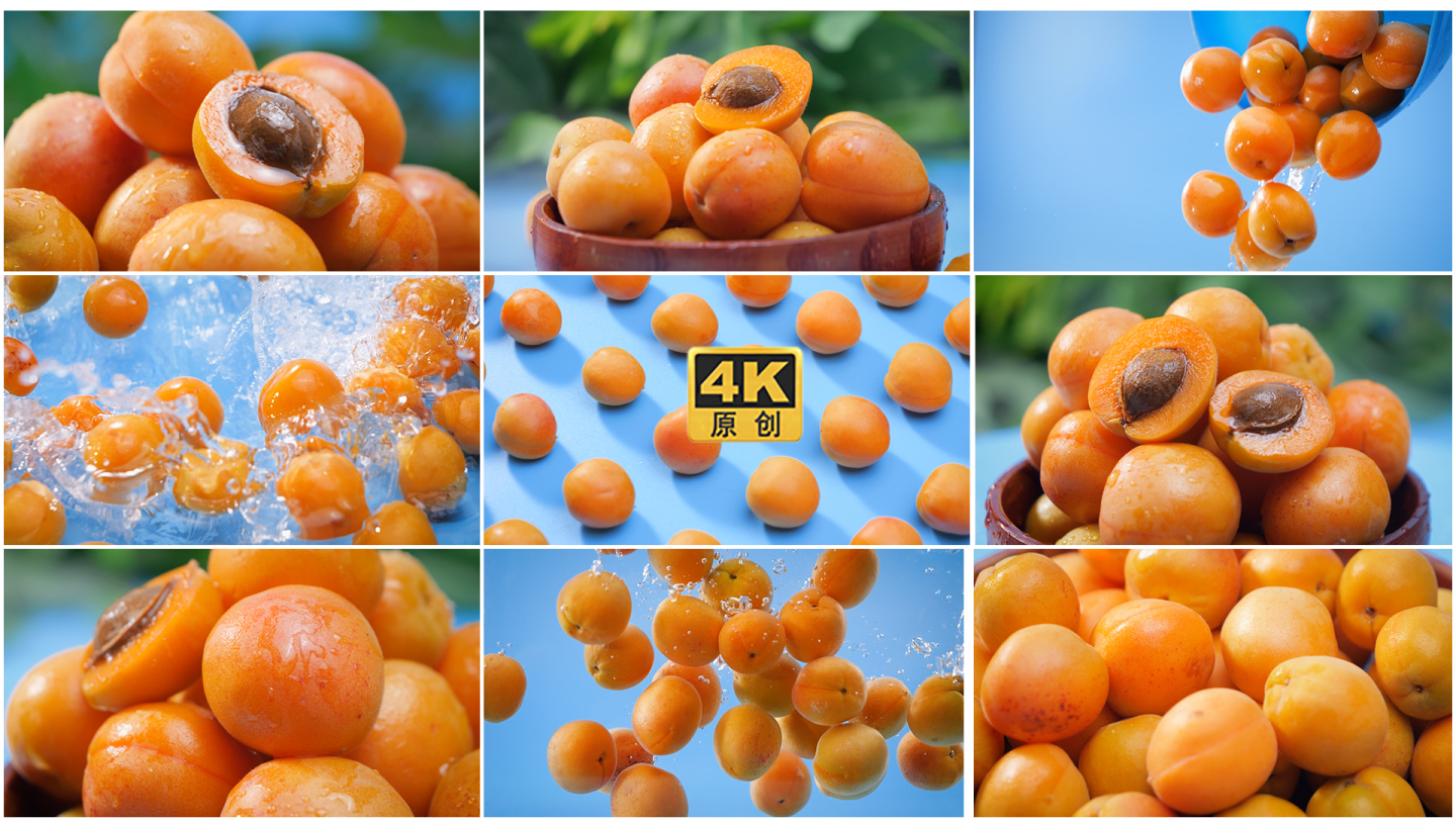 4K新疆小红杏美味水果杏子