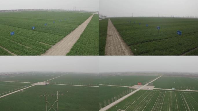 农田中的现代灌溉