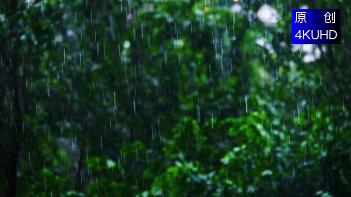 4K 唯美下雨雨滴雨景空镜头