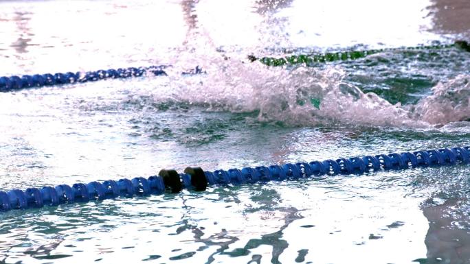 健康的游泳者在游泳池里慢动作做蝶泳动作