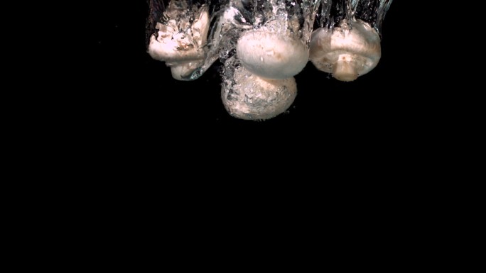 蘑菇落在水中的黑色背景慢镜头