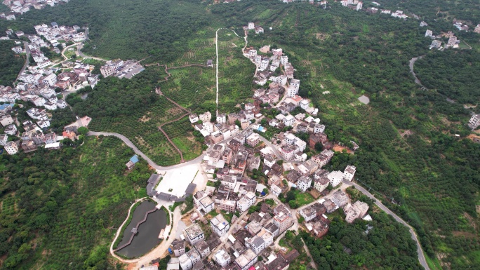 高州根子大唐村贡园荔枝地航拍素材