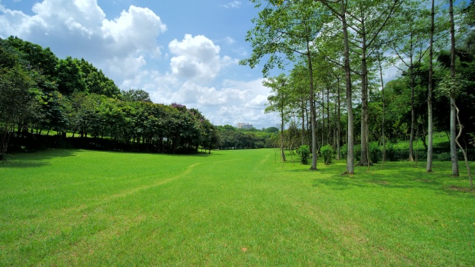 蓝天阳光草坪公园草地绿地