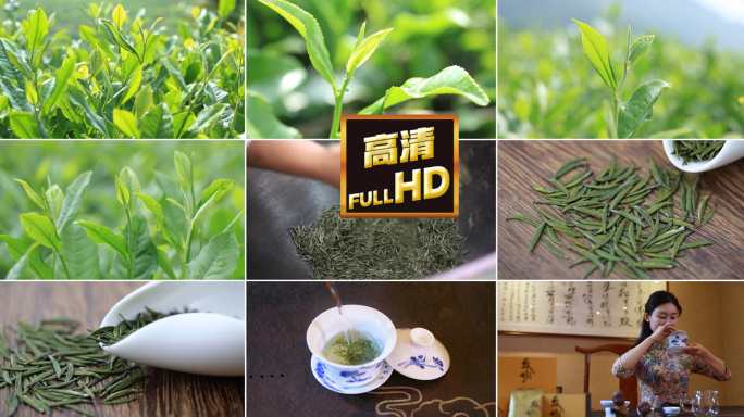 茶山茶园茶叶茶艺炒茶制茶泡茶