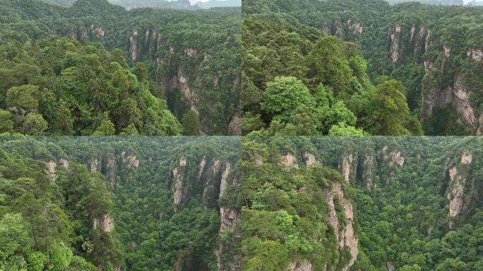 张家界天子山神兵聚会航拍4k