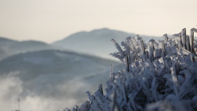 东白山冰凌雾凇云雾水墨阳光早晨冰天雪地