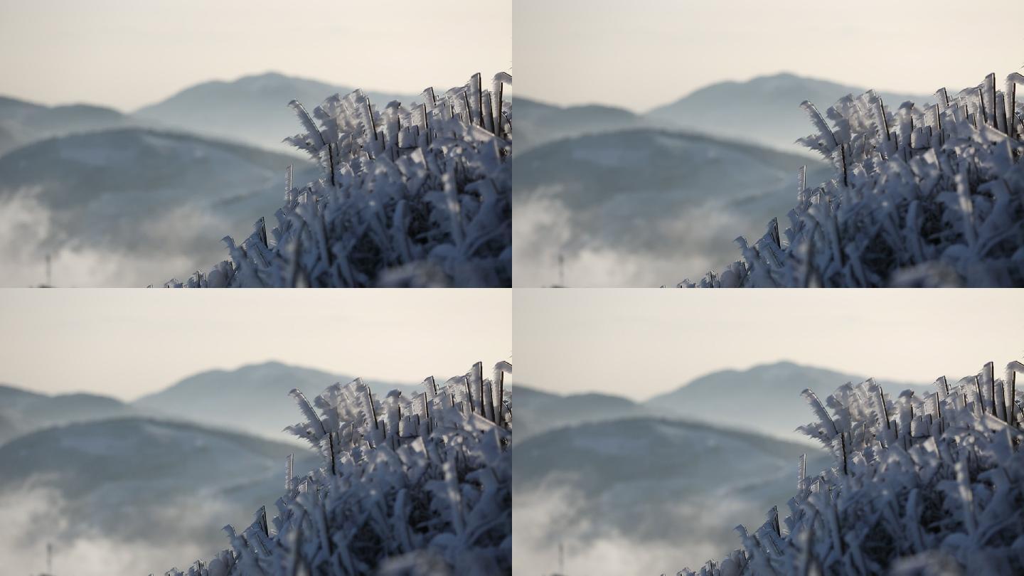 东白山冰凌雾凇云雾水墨阳光早晨冰天雪地