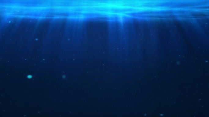 海底世界 水母 鲸鱼 海洋馆