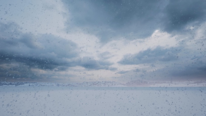 下雪鹅毛大雪雪花飞扬