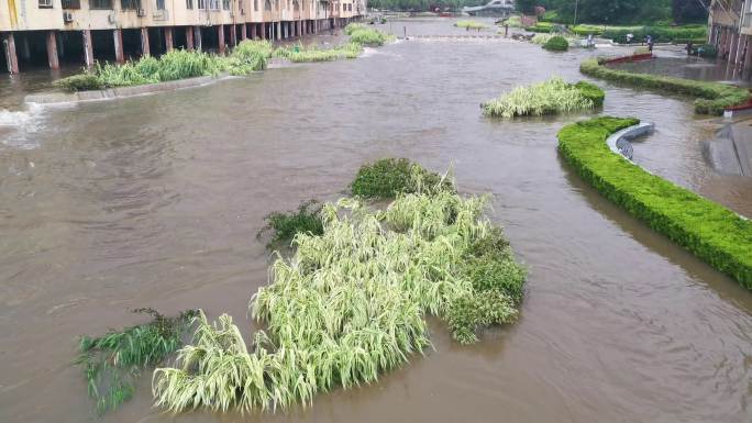 暴雨过后水位上涨河水泛滥