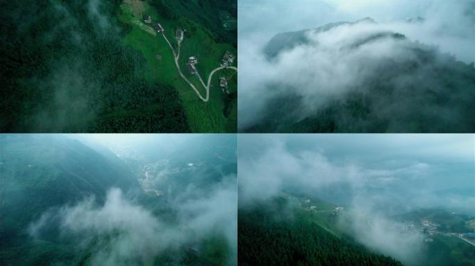 4K航拍穿越森林山间云雾