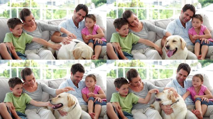 可爱的一家人一起在沙发上放松，他们的拉布拉多狗在客厅里