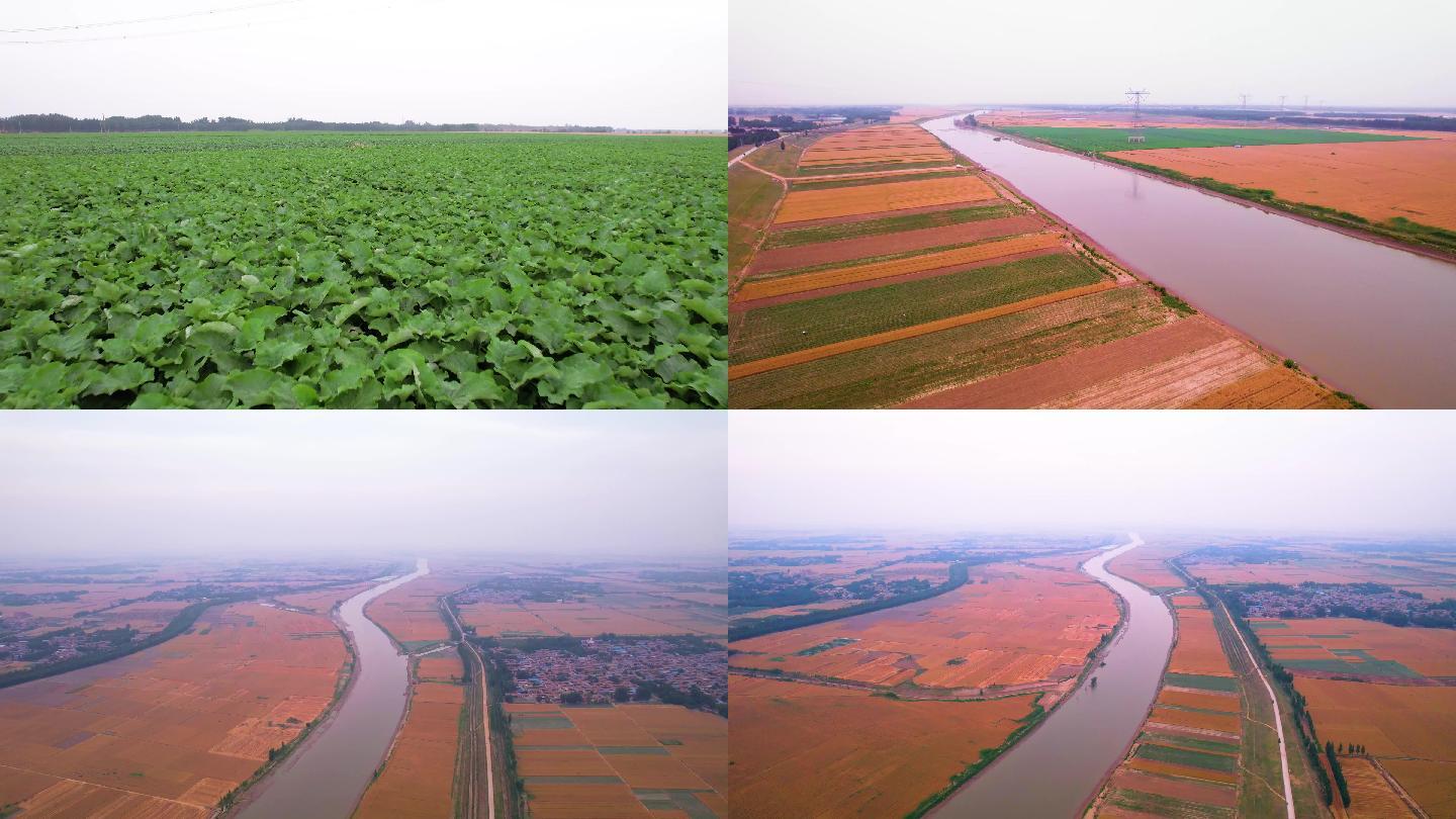 京杭运河两岸的田野
