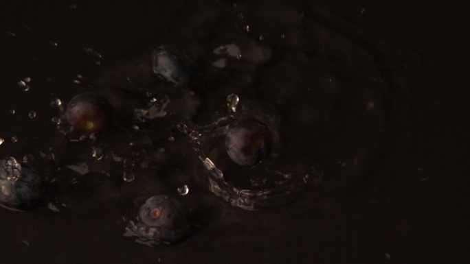蓝莓以慢动作落在潮湿的黑色表面