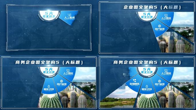 【5】商务企业结构信息分类ae模板五