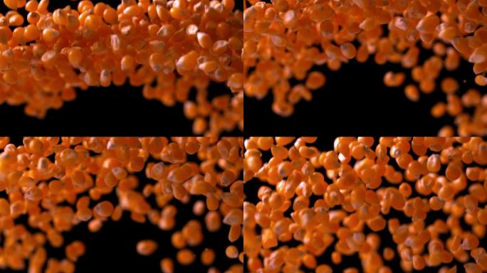爆米花在黑色背景下弹跳的慢动作