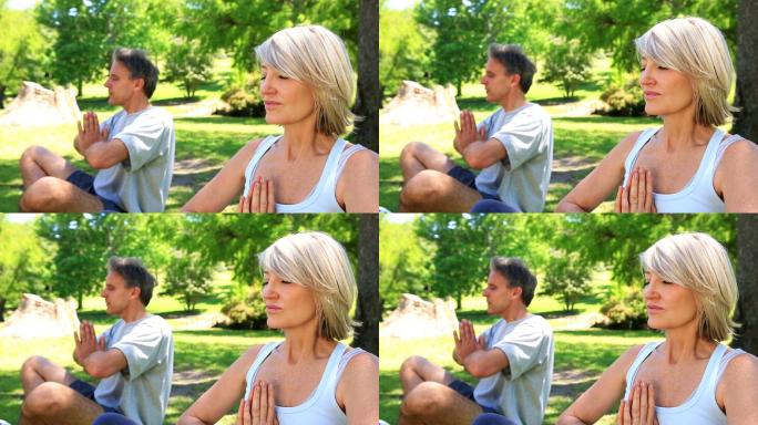 一对情侣在一个阳光明媚的日子里一起在公园里做瑜伽