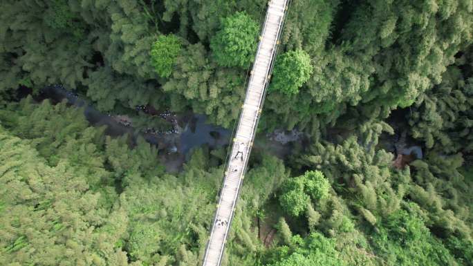 川西竹海森林玻璃桥吊桥