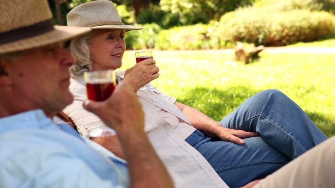 一对退休夫妇坐在躺椅上，在一个阳光明媚的日子里喝酒
