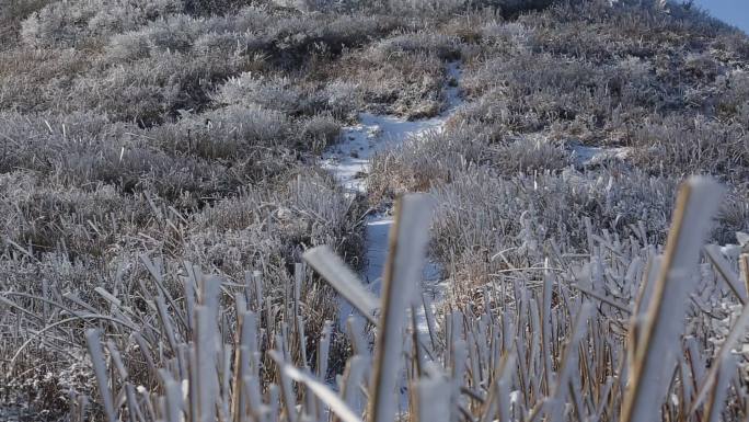 浙江东白山寒潮倒春寒冰凌雾凇寒风雪山冰冻