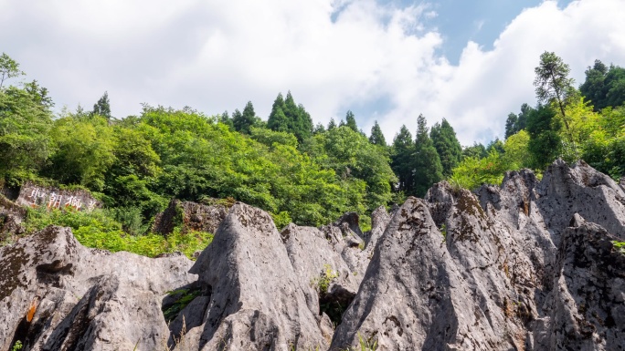 华蓥山石林延时